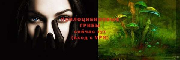 гидра Алексеевка