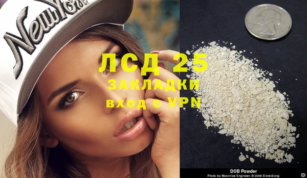 гидра Алексеевка