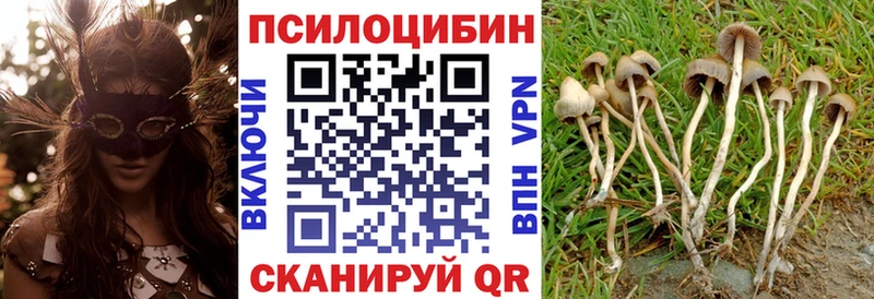 нарко площадка формула  Лесосибирск  Галлюциногенные грибы прущие грибы 